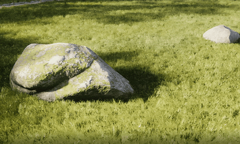 Animated Grass Example