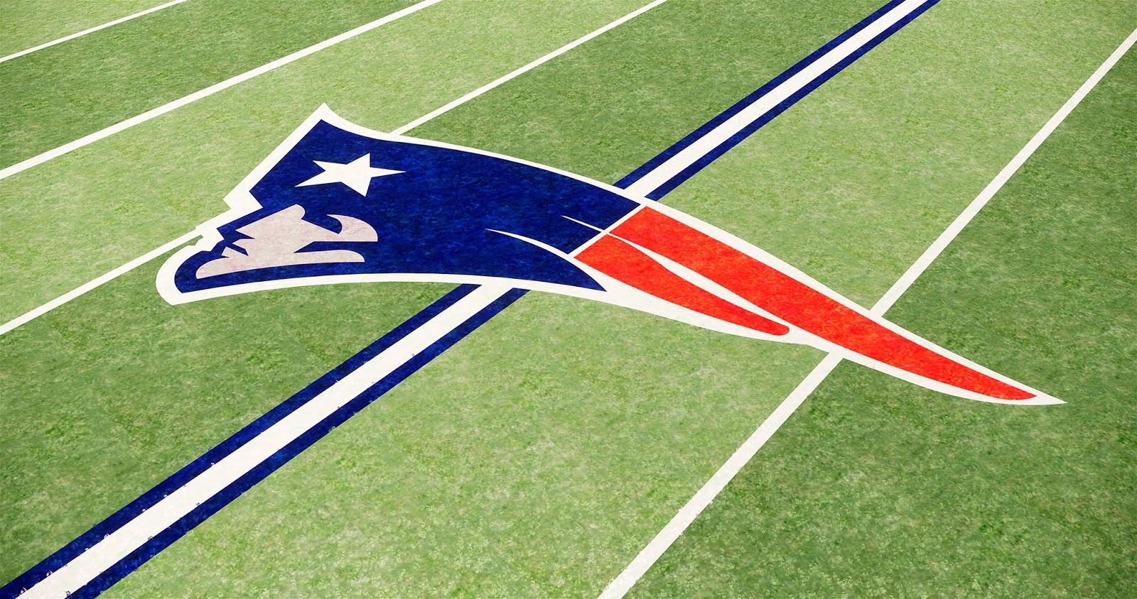 Various grass materials used to define sports field