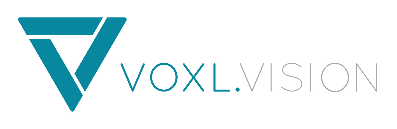 VoxlVision Logo Color